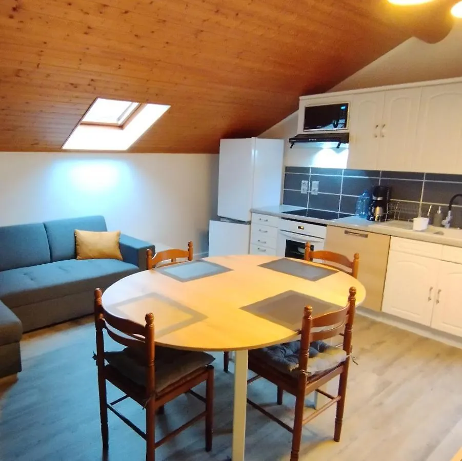 Apartment Superbe Appartement Tout Confort Lyaud France